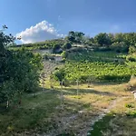 Helios * Νάουμπουργκ