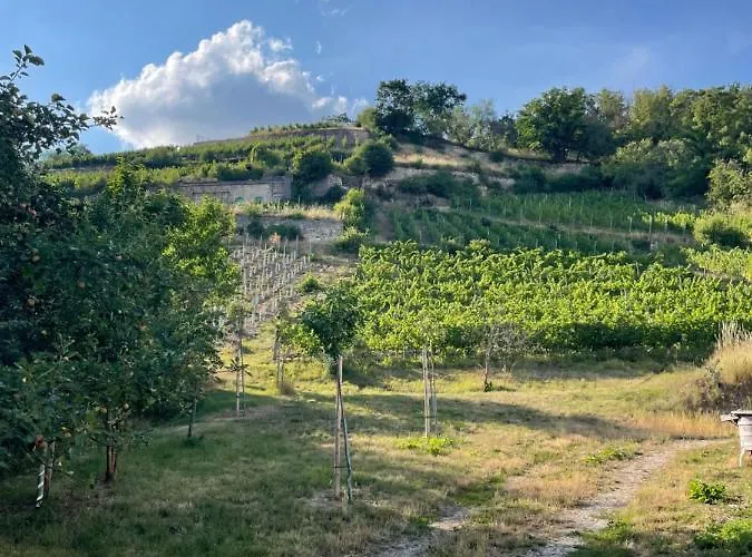 Helios * Naumburg (Saale)